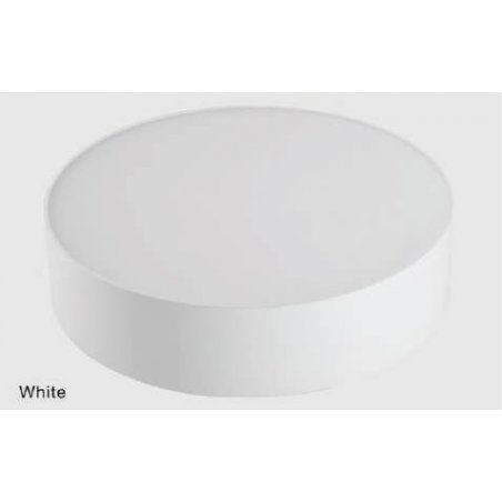 Plafonniers 20 W en saillie Blanc